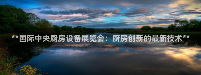 尊龙凯时正规吗：**国际中央厨房设备展览会：厨房创新的最新技