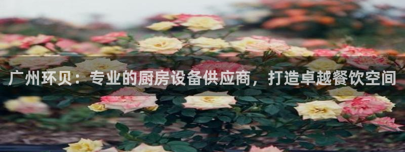 尊龙凯时为什么不封：广州环贝：专业的厨房设备供应商，打造卓越