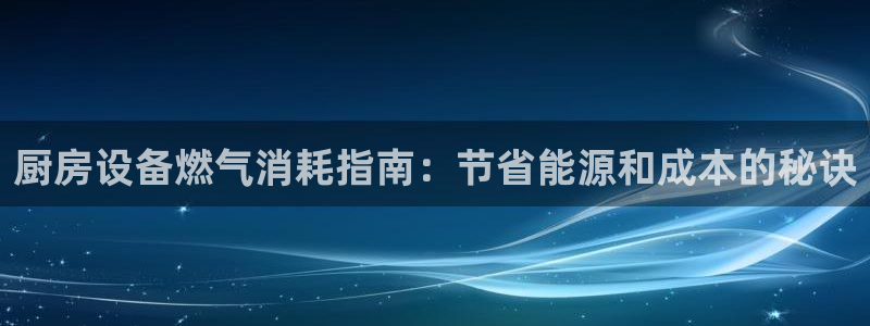 尊龙手机官方客户端下载安装：厨房设备燃气消耗指南：节省能源和
