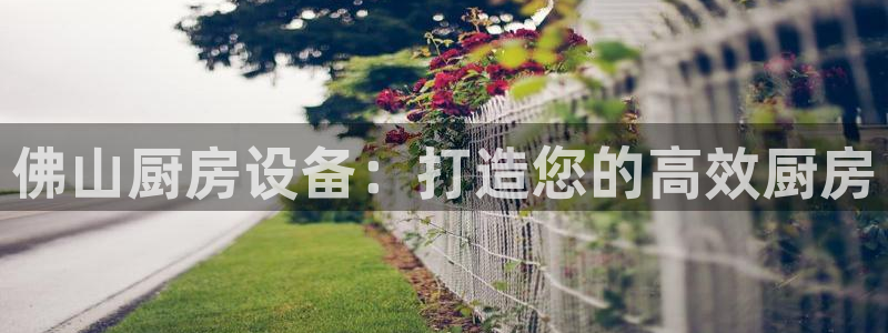 尊龙凯时公司官网：佛山厨房设备：打造您的高效厨房