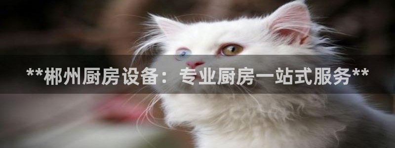 尊龙凯时代理能提出来不：**郴州厨房设备：专业厨房一站式服务