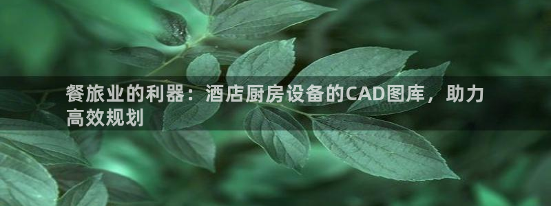 尊龙APP客户端平台：餐旅业的利器：酒店厨房设备的CAD图库