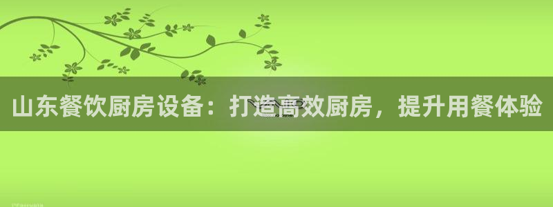 尊龙用现金一下可靠送38元：山东餐饮厨房设备：打造高效厨房，