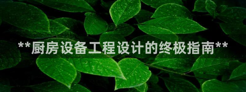 尊龙凯时ag旗舰厅：**厨房设备工程设计的终极指南**