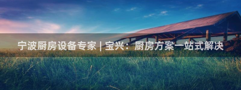 尊龙AG旗舰厅官网：宁波厨房设备专家 | 宝兴：厨房方案一站