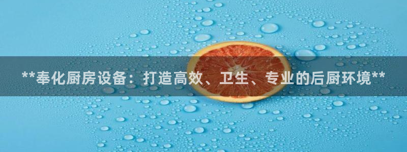 凯时游戏官方网站：**奉化厨房设备：打造高效、卫生、专业的后