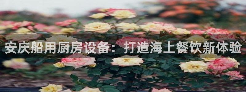 尊龙凯时是哪个国家的：安庆船用厨房设备：打造海上餐饮新体验