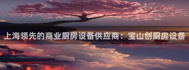 尊龙凯时贴吧：上海领先的商业厨房设备供应商：宝山创厨房设备