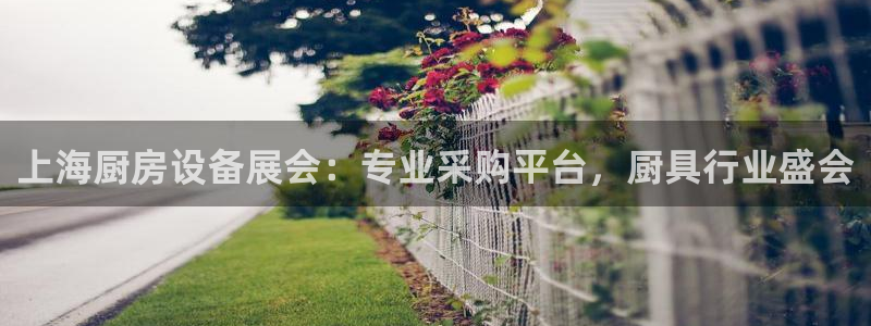 尊龙凯时推荐人：上海厨房设备展会：专业采购平台，厨具行业盛会