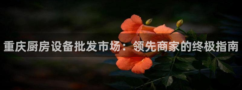尊龙新版app首页：重庆厨房设备批发市场：领先商家的终极指南