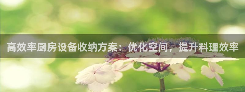 尊龙AG发财网：高效率厨房设备收纳方案：优化空间，提升料理效