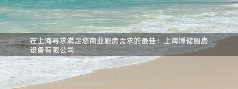 尊龙软件下载：在上海寻求满足您商业厨房需求的最佳：上海博储厨