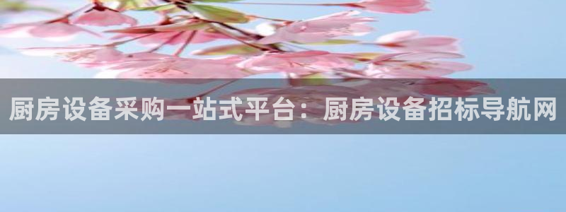 尊龙t500和t300区别：厨房设备采购一站式平台：厨房设备