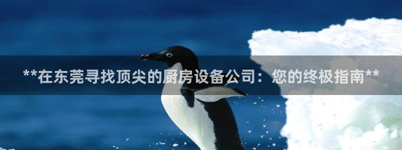 尊龙app注册官网：**在东莞寻找顶尖的厨房设备公司：您的终