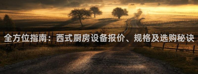 尊龙登录地址：全方位指南：西式厨房设备报价、规格及选购秘诀