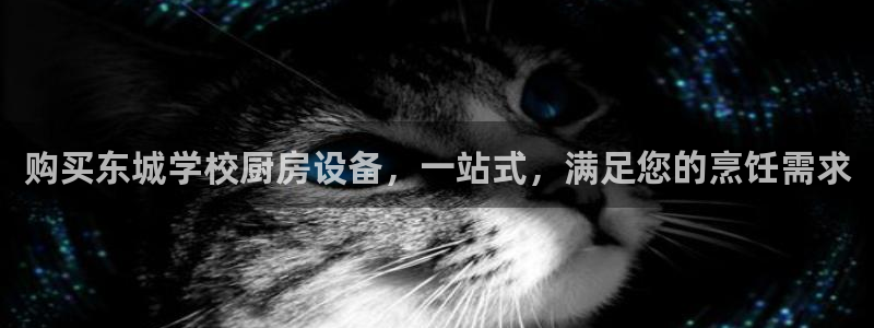 尊龙凯时平台官网：购买东城学校厨房设备，一站式，满足您的烹饪