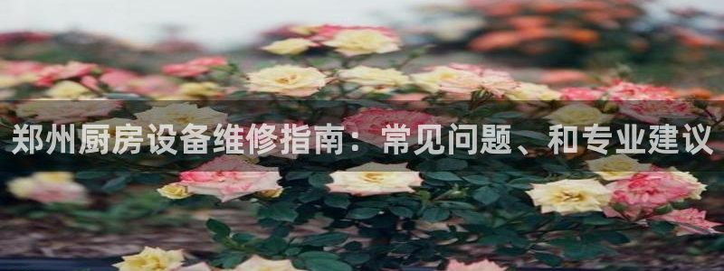尊龙凯时法拉币：郑州厨房设备维修指南：常见问题、和专业建议