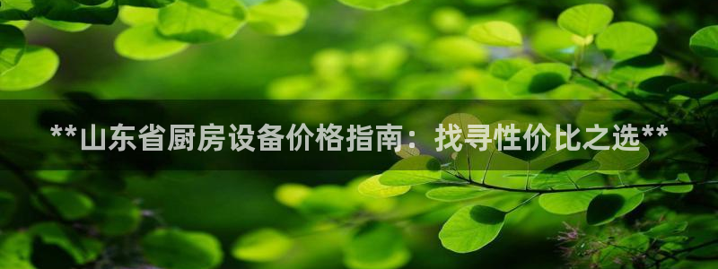 尊龙凯时出款：**山东省厨房设备价格指南：找寻性价比之选**