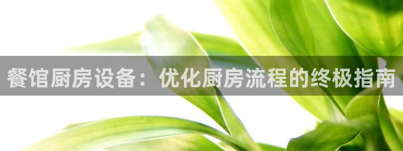 尊龙凯时人生就是搏技术实力：餐馆厨房设备：优化厨房流程的终极