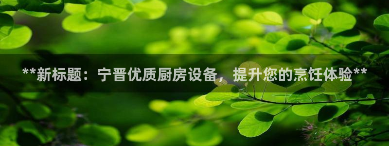 KB88凯时官网：**新标题：宁晋优质厨房设备，提升您的烹饪