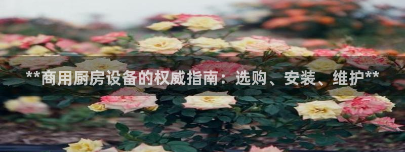 尊龙实业：**商用厨房设备的权威指南：选购、安装、维护**