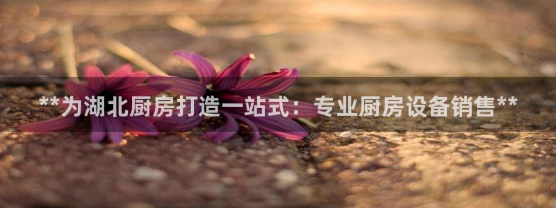 尊龙ag旗舰厅官网登录：**为湖北厨房打造一站式：专业厨房设