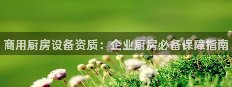 尊龙凯时官方网站：商用厨房设备资质：企业厨房必备保障指南