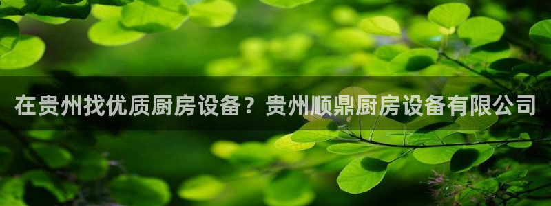 凯时官网app下载官方网站：在贵州找优质厨房设备？贵州顺鼎厨