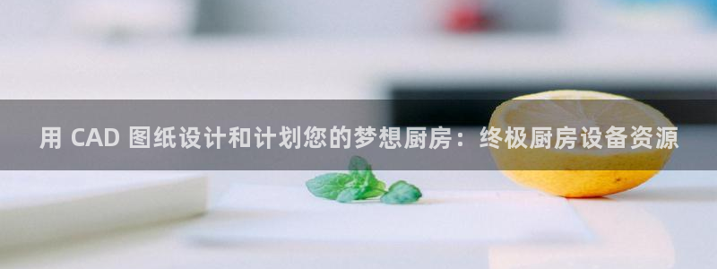 旧版尊龙人生就是博下载：用 CAD 图纸设计和计划您的梦想厨