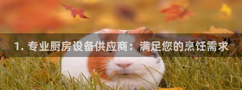 d88尊龙官方网：1. 专业厨房设备供应商：满足您的烹饪需求