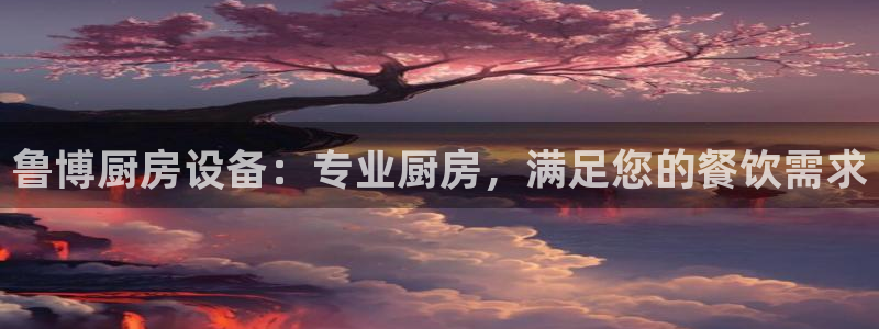 d88尊龙平台开户：鲁博厨房设备：专业厨房，满足您的餐饮需求