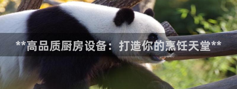 尊龙 贴吧：**高品质厨房设备：打造你的烹饪天堂**