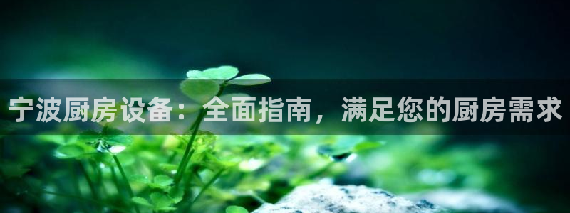 尊龙凯时d3563：宁波厨房设备：全面指南，满足您的厨房需求