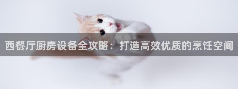 kb88凯时唯一官网注册：西餐厅厨房设备全攻略：打造高效优质
