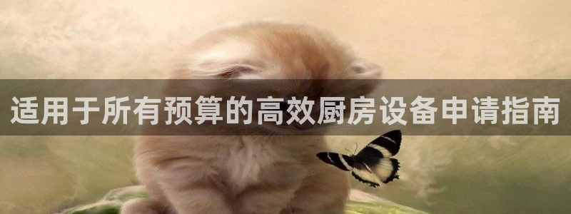 凯时国际app首页登录入口：适用于所有预算的高效厨房设备申请