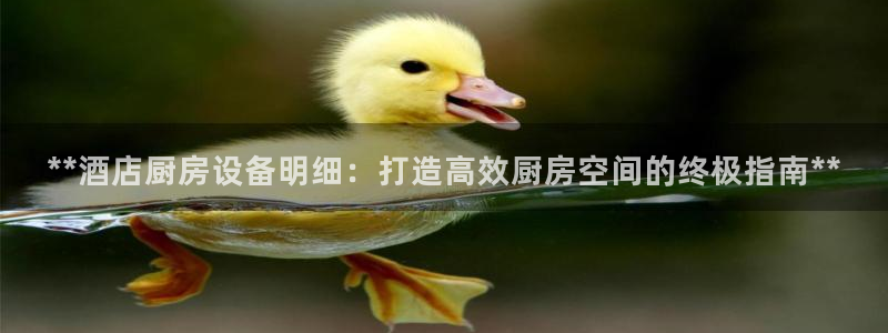 尊龙凯时能不能提现?：**酒店厨房设备明细：打造高效厨房空间