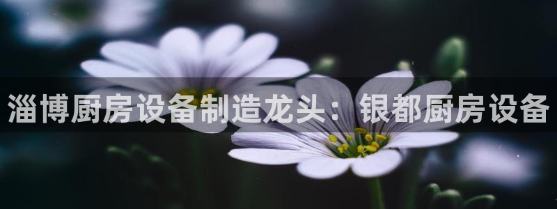 d88尊龙官网手机app