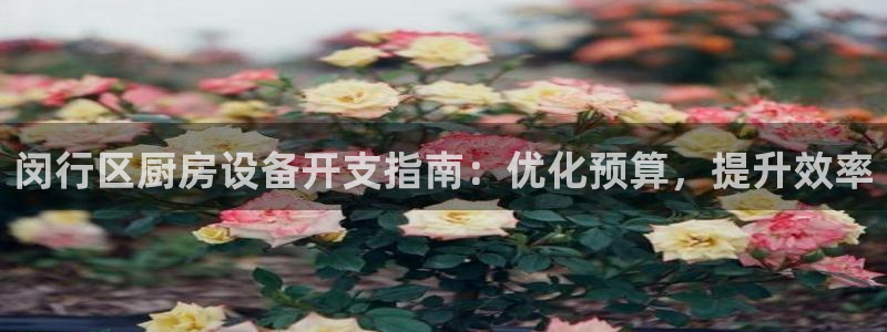 尊龙最经典的三个角色：闵行区厨房设备开支指南：优化预算，提升