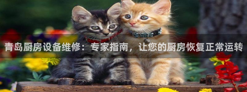 凯时ag旗舰厅