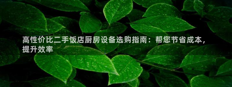 尊龙凯时平台入口：高性价比二手饭店厨房设备选购指南：帮您节省
