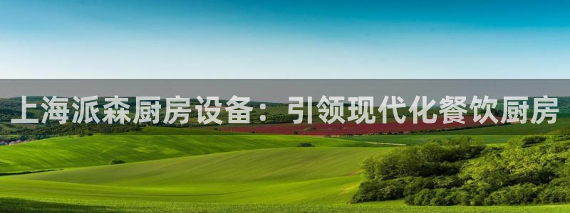 尊龙旗舰app：上海派森厨房设备：引领现代化餐饮厨房