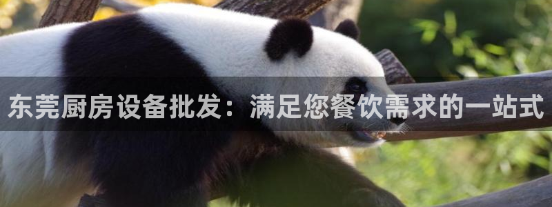 尊龙凯时下载人生就是博：东莞厨房设备批发：满足您餐饮需求的一