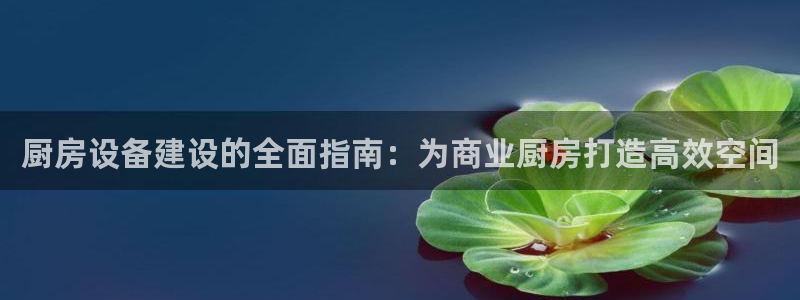 尊龙人生就是博i可靠吗：厨房设备建设的全面指南：为商业厨房打
