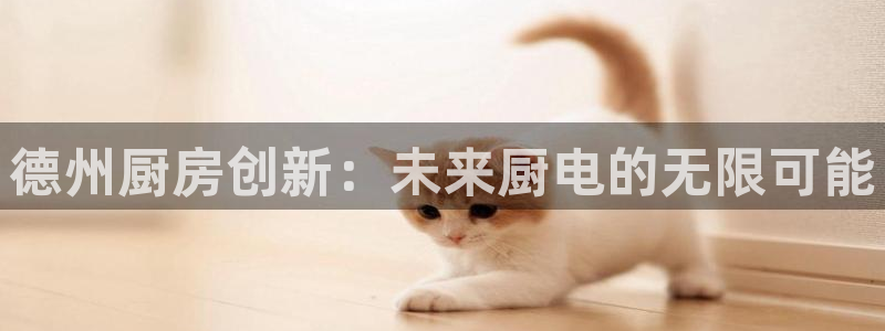 尊龙官方APP下载