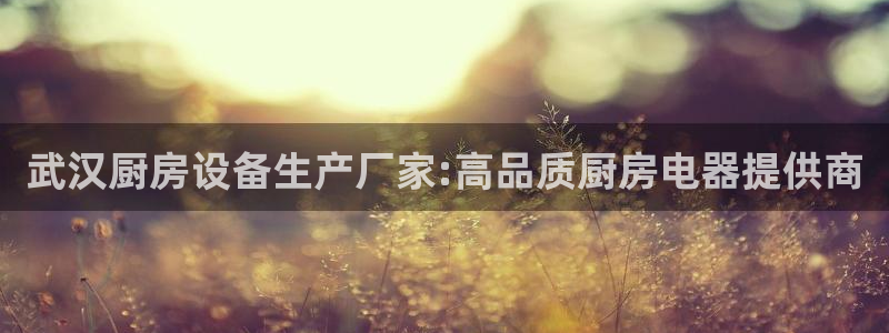 尊龙网址是选访问zd207