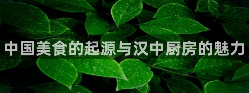 尊龙d88官网准认来就送38