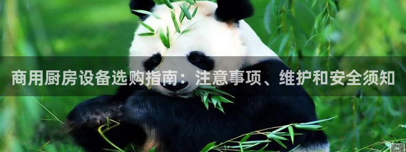 尊龙官方：商用厨房设备选购指南：注意事项、维护和安全须知