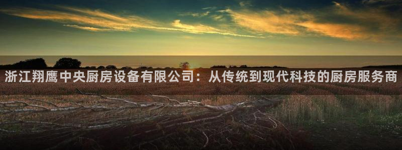 尊龙凯时代理官网入口