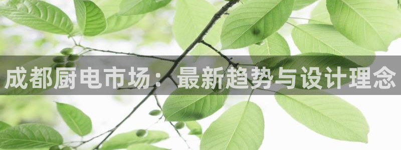 尊龙人生就是博旧版现