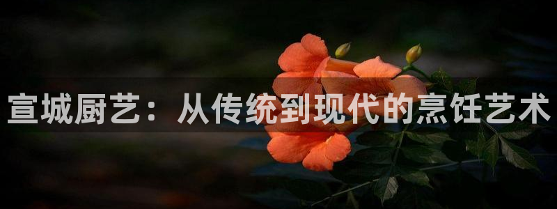 尊龙凯时存款不上分